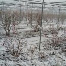 오암농장 이미지