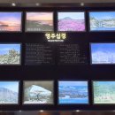 천아트:꽃으로 물들이다 이미지