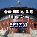 이마트여행사