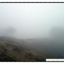 유성길 천마농장 입구 이미지