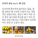 모과의 효능 12가지와 부작용 이미지