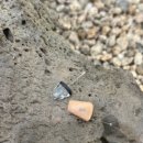 포낙보청기헬스케어 이미지