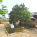 생활속의 조경이야기 이미지