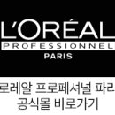 인스타일링 네이버블로그