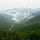 청석골 Daum카페