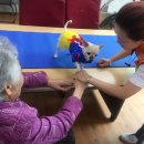 뉴욕종합동물병원 이미지