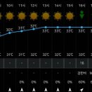 용인자연숲캠핑장 이미지