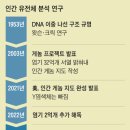 ﻿Y염색체 완전 해독… 인간 게놈지도 20년만에 마지막 퍼즐 맞춰 ﻿- 6246만29쌍 Y염색체 염기 풀어 이미지