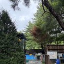 칠갑산계곡펜션 이미지