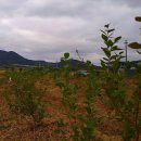 지재농장 2 이미지