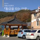 황금을따는마을 이미지