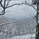 삼수령 휴게소 이미지