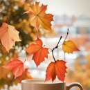 하루를 시작하는 아침 이미지