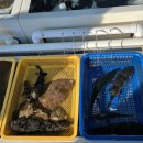 동해수산초장집 이미지