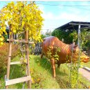 경춘선 자전거도로10 이미지