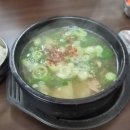 유성식당(따로국밥) | 대전 유성구 맛집 태평소국밥｜대전여행 아침식사 추천
