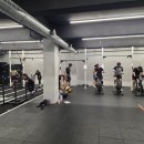 크로스핏 하울 이미지