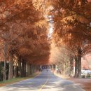 부귀면 소재지길 이미지