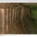 승주초등학교 죽학분교 이미지