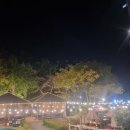 서가네오리 이미지