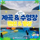 청도어린이집 | [대구근교] 아이와 계곡 물놀이 &amp; 수영장 한번에!💦청도거림가든펜션! 🏡가족여행 솔직 후기!