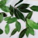 남해군종합사회복지관 이미지