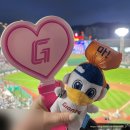 코코아누리 - 천안시 서북구 미라2길 18-1 | 롯데자이언츠 누리 드링크백 후기
