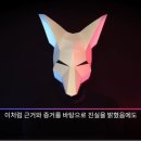 여우코리아