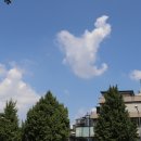 회나무식당 이미지