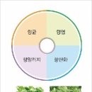 이바인화장품 이미지