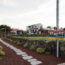 제주놀멍민박 이미지