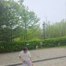 느티나무캠핑장 | [서울 캠핑 추천] 봄꽃 만개한 강동그린웨이 느티나무 오토캠핑장 후기! 가족과 함께라 더 행복했어요