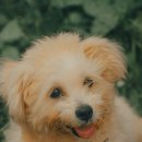 계양SKY동물메디컬센터 이미지