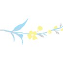 피아트라