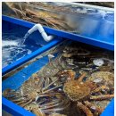 가락시장역 1번출구 이미지