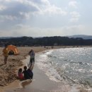 돌고래마루민박펜션 이미지