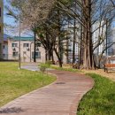 창의의 숲 이미지