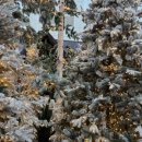 리부트 | 🍱 크리스마스 앞둔 더현대 여의도 데이트, 구석에서 찾은 ‘아이캔리부트’ 후기