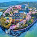 바위섬회타운 | 바다 위에 벚꽃이요? 태안 안면암, 절이 이렇게 예쁜 곳일 줄이야…!