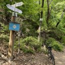 동막천자전거길 이미지