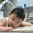 내산체육관 이미지