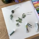 테르베르트(Terre Verte)