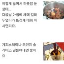 &#39;뱅쇼&#39; 뜨거운 와인 만들기 이미지