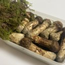 송이여성의원 이미지