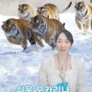 초보 오카리나 이미지