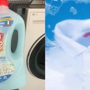 향기세탁나라 이미지