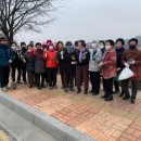 꽃길프로젝트 이미지