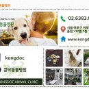 콩닥 동물병원 이미지