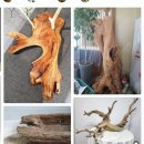 임무영치과의원 이미지