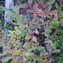 예일여고 이미지